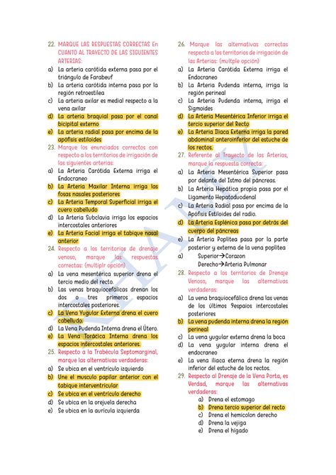 SOLUTION Parcial Morfo 2 Completo Studypool