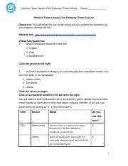 Module Three Lesson One Pathway Three Activity Docx Module Three