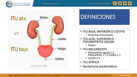 SOLUTION Infeccion Del Tracto Urinario ITU Studypool