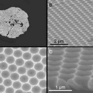 Sem Images At Various Tilt Angles Of An Ag Nanostructure Formed By