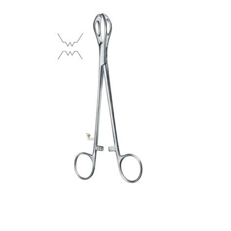 Lane Towel Clamp Cm Towel Forceps Medicta Instruments