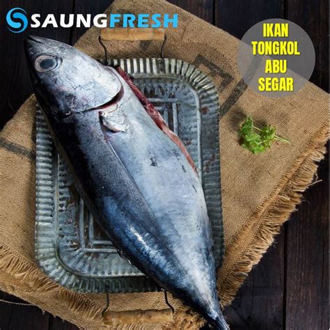 Jual Ikan Tongkol Abu Segar Premium Kg Indonesia Shopee Indonesia