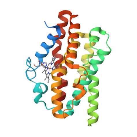 RCSB PDB 7EQH Crystal Structure Of Arabidopsis GUN2 HO1 In Complex