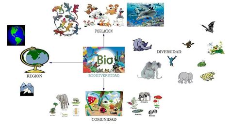 Mapa Mental De La Biodiversidad Mapasytemas Udocz