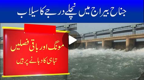 Breaking News Mianwali Jinnah Barrage Risk Of Moong Crop Damage