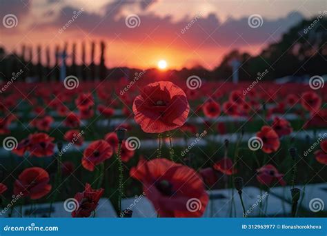 Poppy Field. Memorial Day. Ai Generated Stock Image - Image of bloom ...