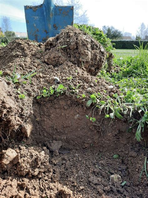 LE PRELEVEMENT AGRO ECO SOL Auréa AgroSciences laboratoire d analyses