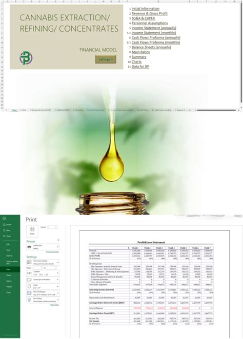 Cannabis Extractionconcentrates Financial Model Business Plan Templates