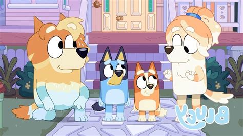 Bluey Season 2 Full Episodes Bluey Youtube