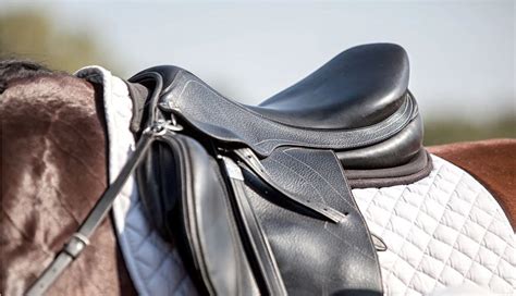 A Beginner’s Guide to Horse Tack: High-Quality Gear Can Save Your Hors ...