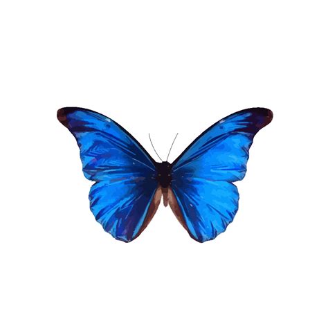 Blue Butterfly PNG, SVG Clip art for Web - Download Clip Art, PNG Icon Arts