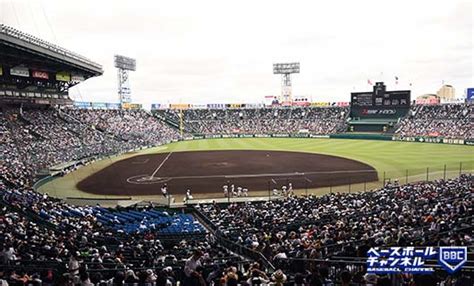 【放送予定】春のセンバツ甲子園2025、出場校発表の視聴方法は？ テレビ中継・ライブ配信一覧｜選抜高校野球