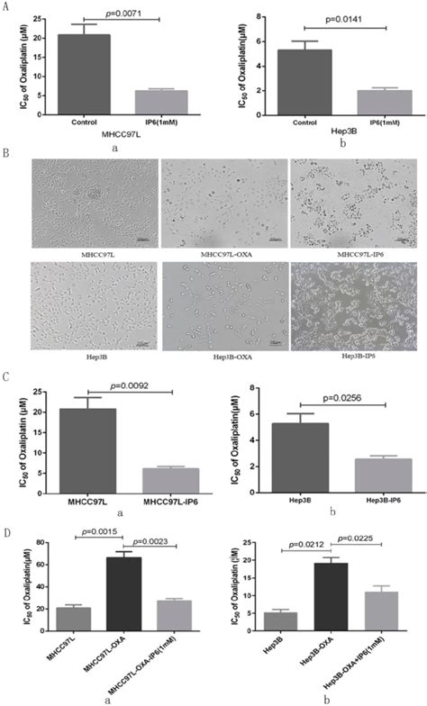 Ip6 Exhibited A Synergistic And Sequential Anti Proliferative Effect