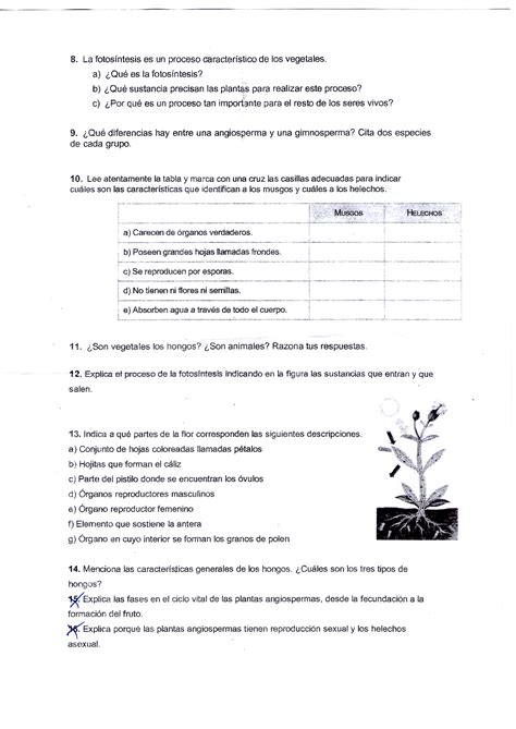 Examen Biologia 1 Eso La Atmosfera Examen Tema 6 La Hidrosfera Pdf