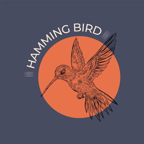 Hummingbird Hand Drawn Vintage Logo 41316287 Vector Art At Vecteezy