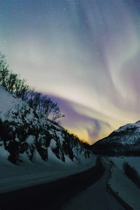 Les Aurores Bor Ales Troms En Norv Ge Du Nord Joowbar Travel