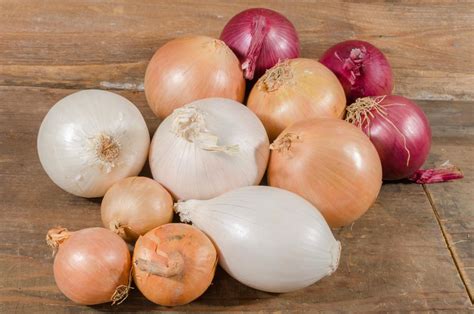 Types of Onions - Tastessence