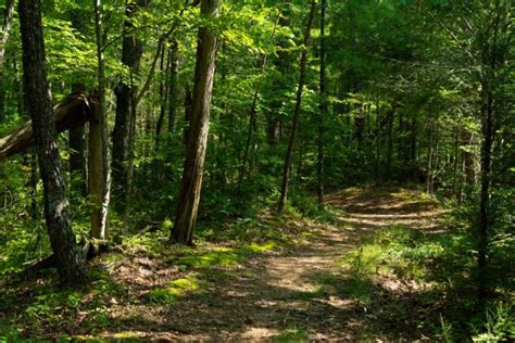 5 of the Best Hiking Trails Near Gatlinburg You’ll Love