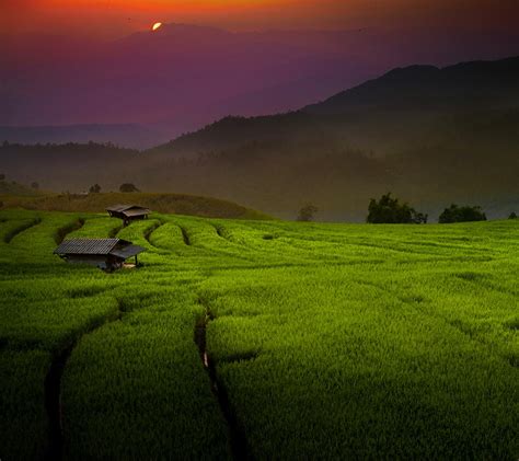 Sunlight Landscape Fall Sunset Hill Nature Grass Sky Field