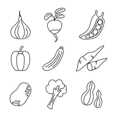 Top 81 Imagen Dibujos De Alimentos De Origen Vegetal Para Colorear Viaterra Mx