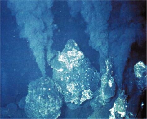 10 Facts about Deep Sea Vents - Fact File