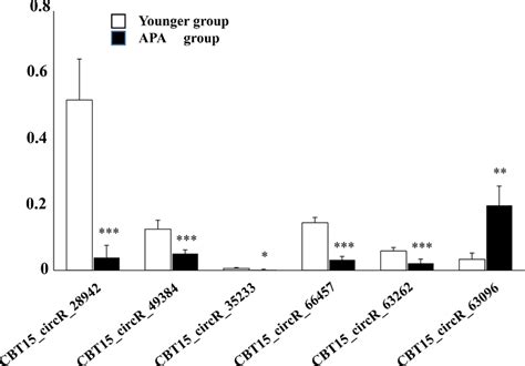 Real Time Quantitative Polymerase Chain Reaction Rt‒qpcr For