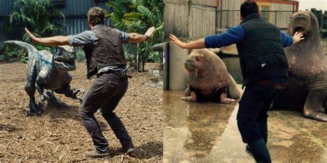 Chris Pratt's Jurassic World Raptor Trainer Inspires Zookeeper Meme