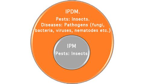 Integrated Pest Management Focus On Production Responsibility