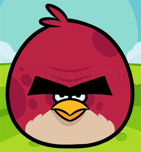 Angry Bird Blank Template Imgflip