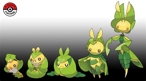 Swadloon Evolution Level