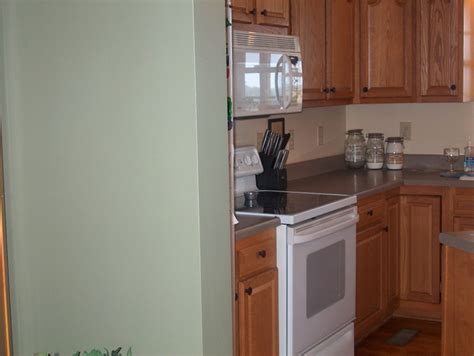 Paint Color Advice for Kitchen with Oak Cabinets and Floors and White ...