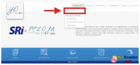 Sri Y Yo En L Nea Gu A De Facturaci N Electr Nica