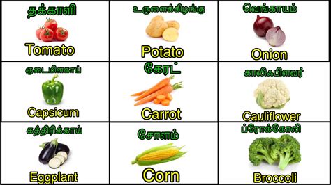 Vegetable Names In Tamil And English காய்கறிகள் பெயர்கள் Faazil