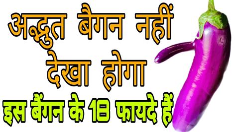 अद्भुत बैंगन। बैंगन के फायदे। Benefits Of Eating Brinjal Youtube