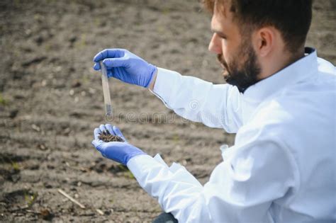 Soil Testing Agronomy Specialist Taking Soil Sample For Fertility