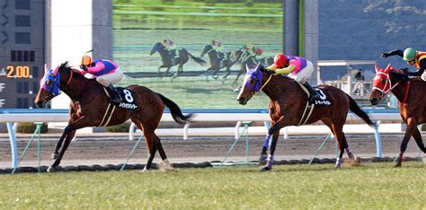 【毎日ベスト3】小倉大賞典を制した小倉の鬼ベスト3 毎日ベスト3 競馬コラム写真ニュース 日刊スポーツ