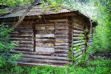 Old Wooden House In The Wood Stock Photo Image Of Homes Building