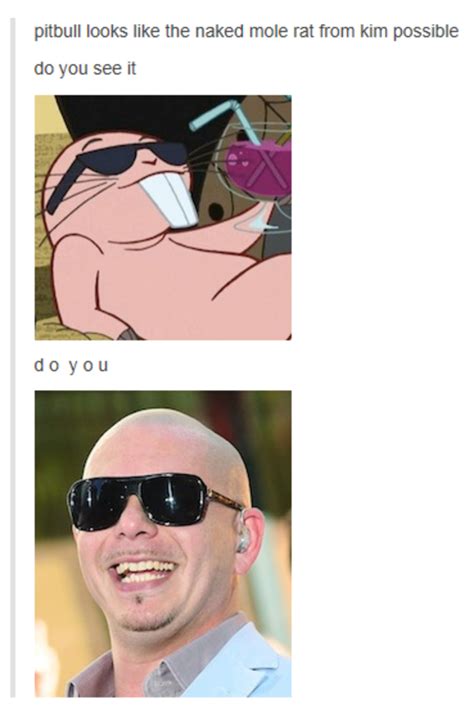 Pitbull Looks Like The Naked Mole Rat From Kim Possible Kim Possible