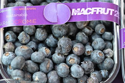 Corriere Ortofrutticolo BERRIES PROTAGONISTI A MACFRUT 2025 UNA