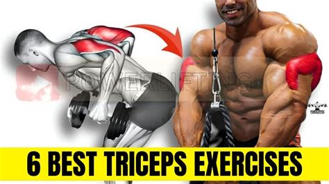 6 Effective Triceps Exercises For Bigger Arms Best Triceps Workout At Gym Tricep Workout