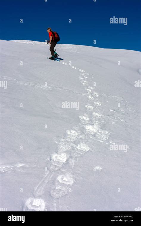 Female Figure In Red Snowshoeing Plateau De Beille Ariege French