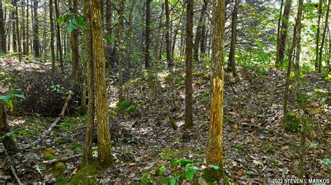 Shiloh National Military Park Corinth Unit Union Siege Lines May