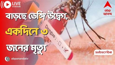 Dengue বাড়ছে ডেঙ্গি উদ্বেগ একদিনে ৩ জনের মৃত্যুর খবর । Abp Ananda Live Youtube