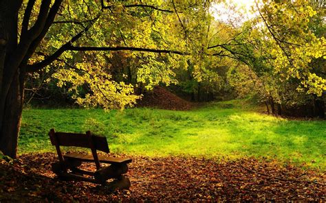 Sfondi Luce Del Sole Alberi Paesaggio Foresta Giardino Natura