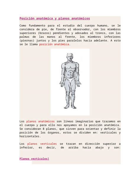 Docx Posicion Anatomica Ejes Y Planos Del Cuerpo Dokumen Tips