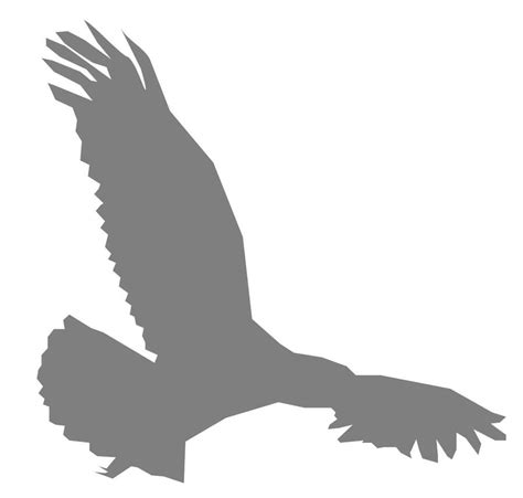 Eagle Shadow By Korallieam On Deviantart