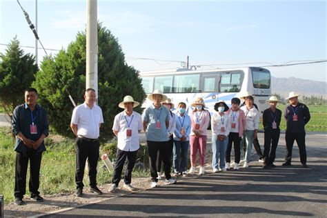 骆驼城镇组织人大代表视察全镇乡村建设工作 高台县人民政府门户网站