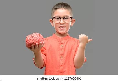 Smiling Mature Man Holding Human Brain Stock Photo