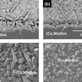 Cross Sectional And Top View Sem Micrographs Of The Interfacial Imcs