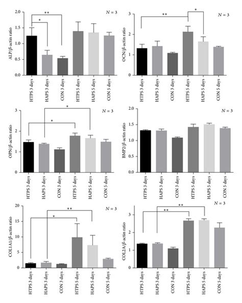 Gene Expression Of Alp Bmp Ocn Opn Col A And Col A In Adscs